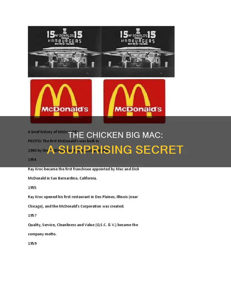 what is a fun fact about the chicken big mac
