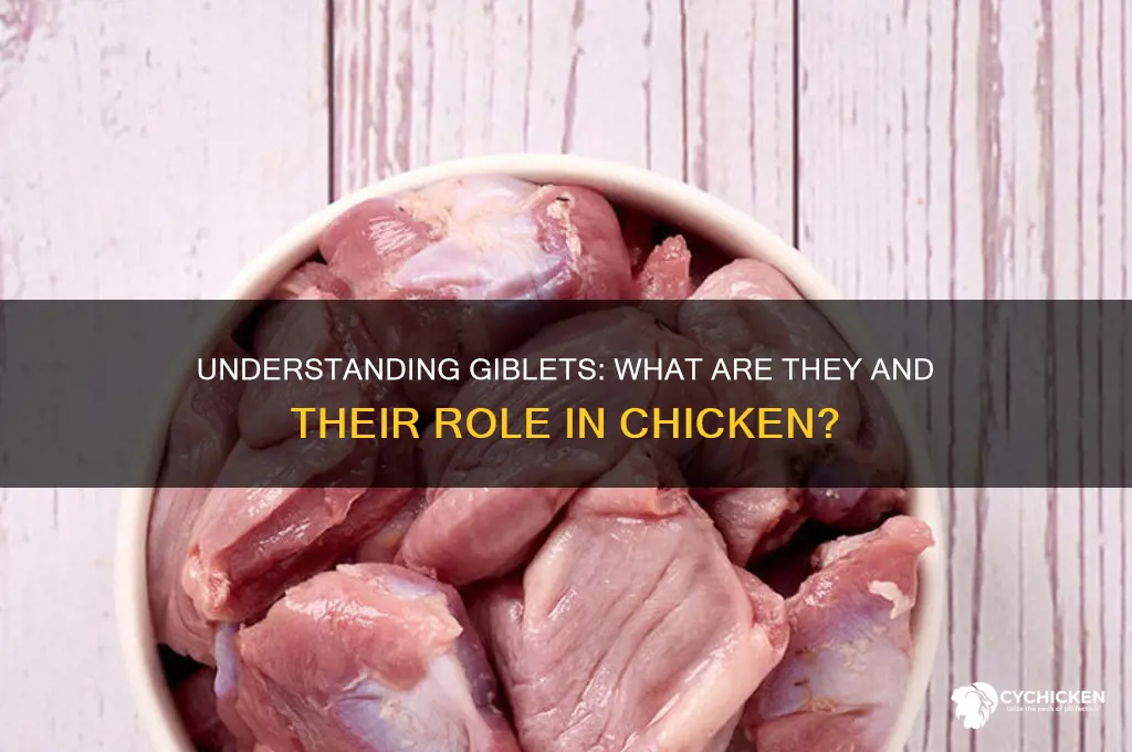 what is a giblet in a chicken