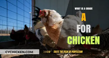 Understanding Grade A Chicken: Quality, Standards, and Benefits Explained