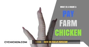 Understanding Grade A Pay Farm Chicken: Quality, Benefits, and Value