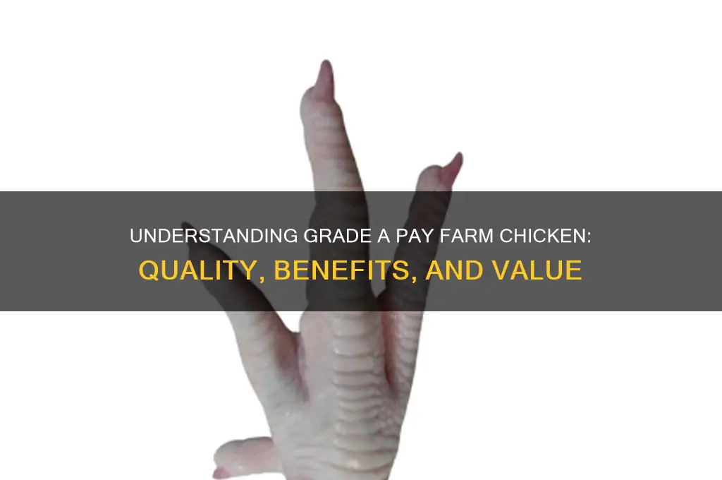 what is a grade a pay farm chicken
