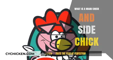 Main Chick vs. Side Chick: Understanding Relationship Dynamics and Roles