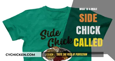 Understanding the Term: What’s a Male Side Chick Called?