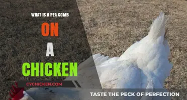 Understanding the Unique Pea Comb on Chickens: A Comprehensive Guide