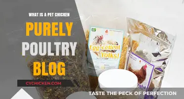 Discover the Joys of Raising a Pet Chicken with Purely Poultry