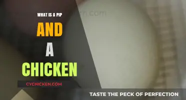 Understanding Pips and Chickens: A Beginner's Guide to the Basics