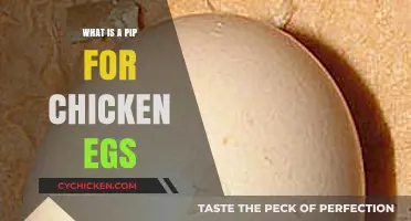 Understanding Pips in Chicken Eggs: A Beginner's Guide to Fertilization