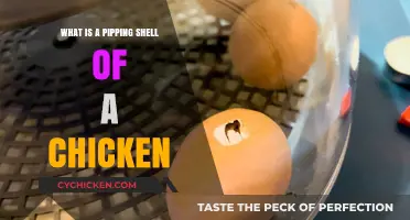 Understanding the Pipping Shell: A Chicken Hatching Process Explained