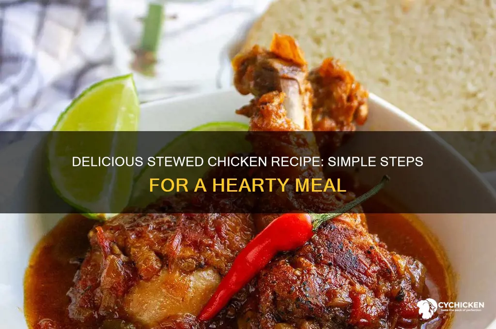 what is a recipe for stewed chicken