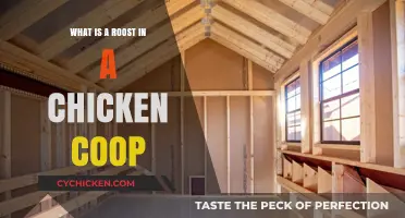 Understanding Chicken Roosts: Essential Features for a Happy Flock