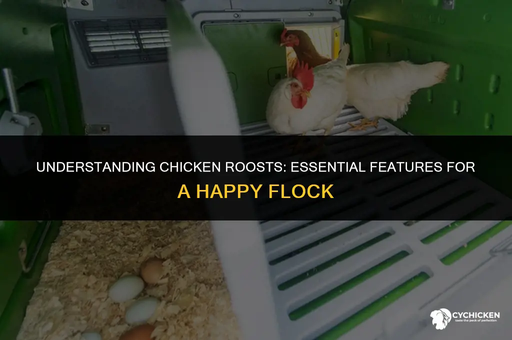 what is a roost in a chicken coop