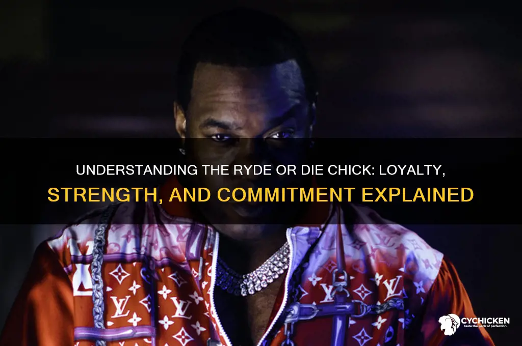 what is a ryde or die chick