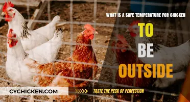 Chicken Safety: Ideal Outdoor Temperature Range