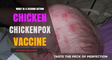 Understanding the Second Chickenpox Vaccine: Essential Protection for Lasting Immunity