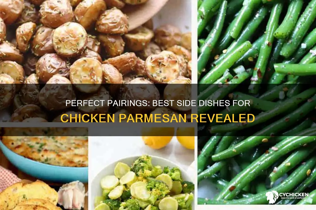 what is a side dish for chicken parmesan