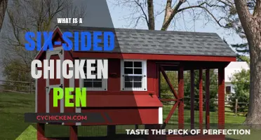 Unveiling the Unique Design of a Six-Sided Chicken Pen