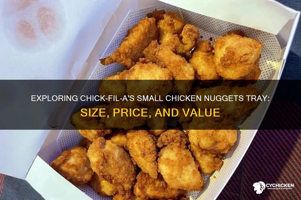 what is a small chicken nugggets tray cfa