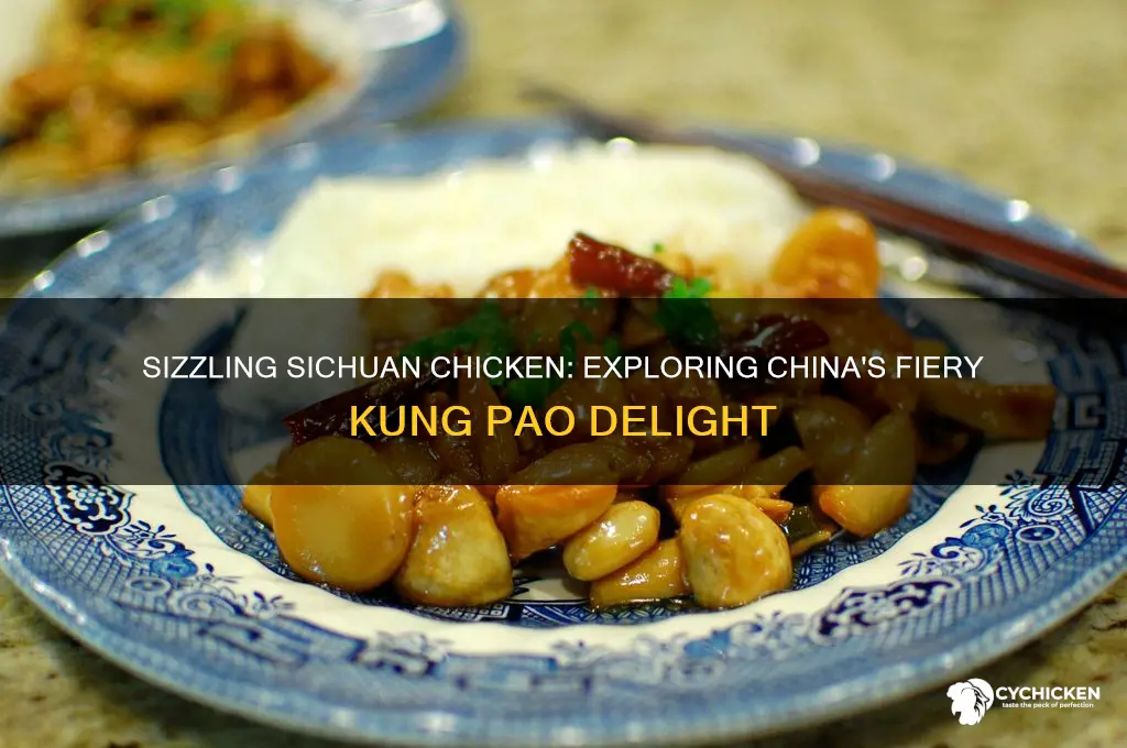 what is a spicy chinese chicken dish