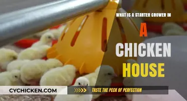 Chicken Housing: Starter Growers Explained