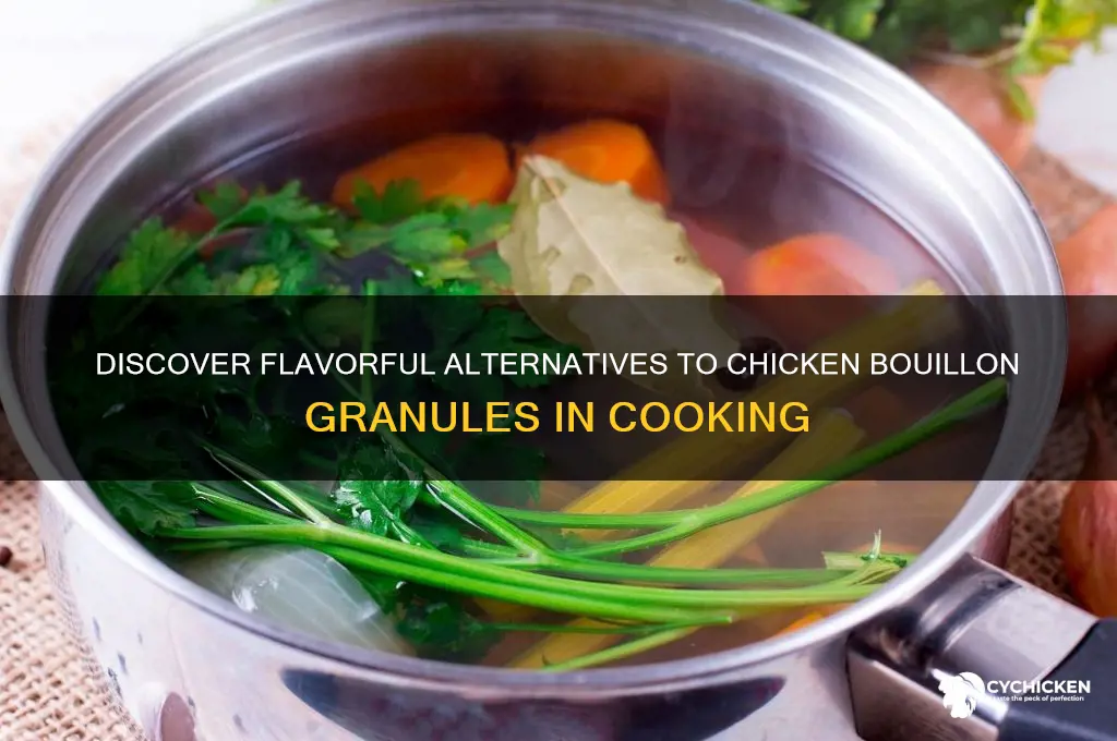what is a substitute for chicken bouillon granules