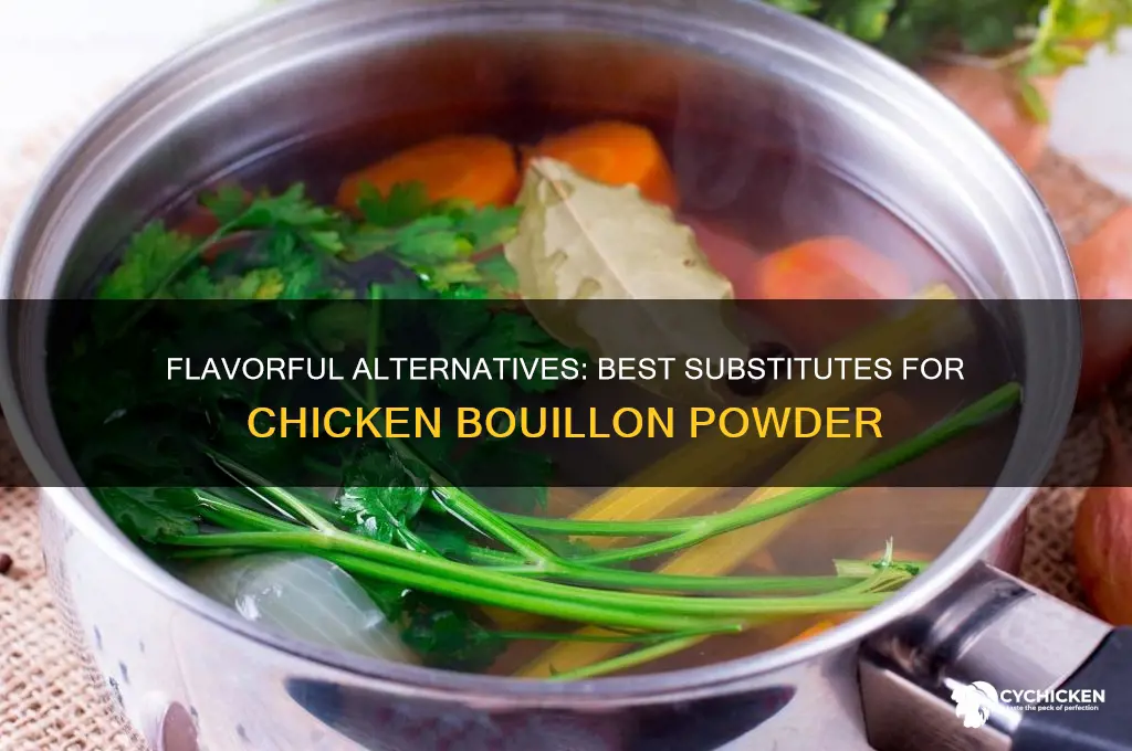 what is a substitute for chicken bouillon powder