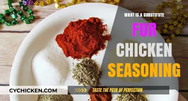 Flavorful Alternatives: Discover the Best Substitute for Chicken Seasoning