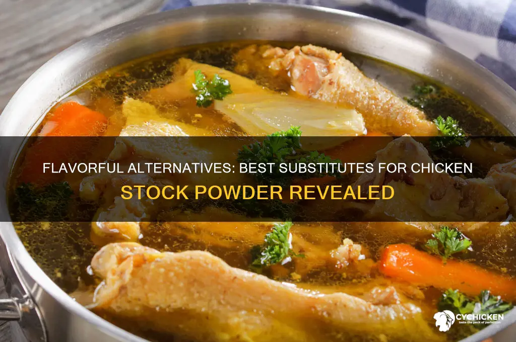 what is a substitute for chicken stock powder