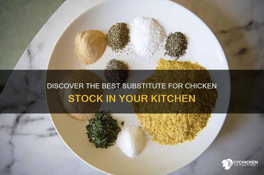 what is a substitute for chicken stock
