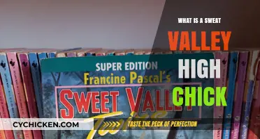 Sweat Valley High Chick: Unraveling the Meaning Behind the Term