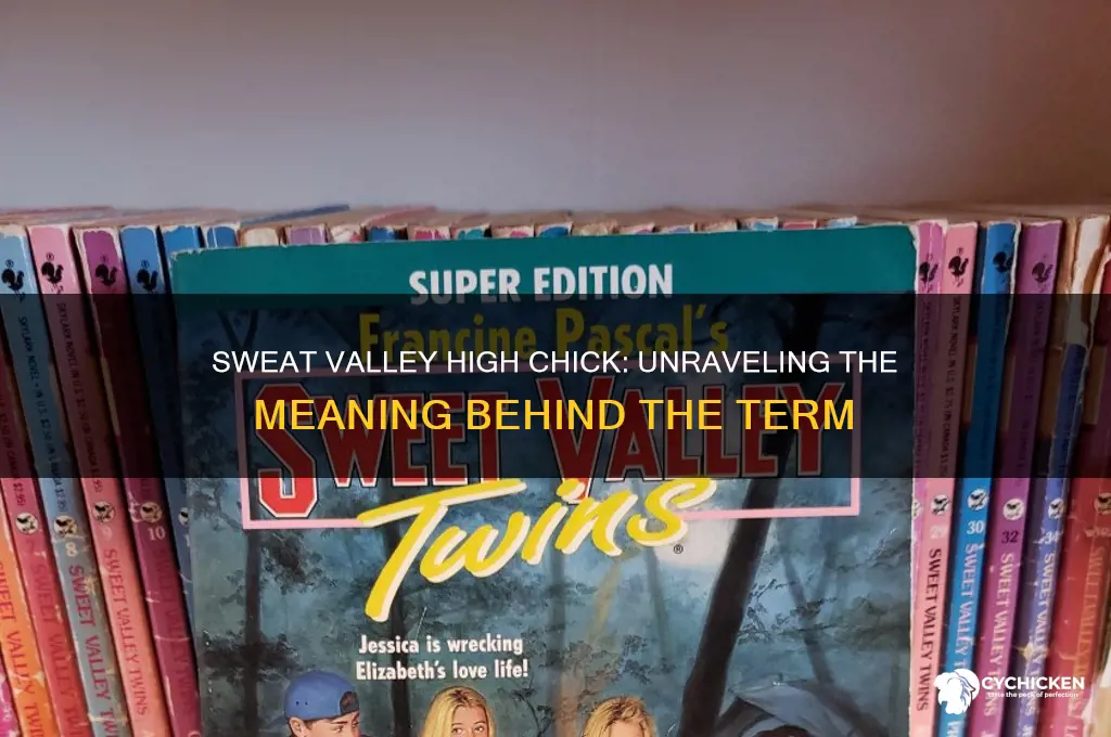 what is a sweat valley high chick