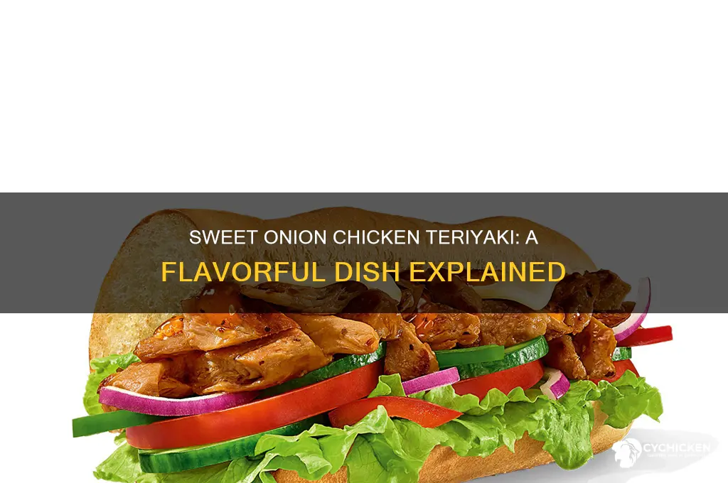 what is a sweet onion chicken teriyaki