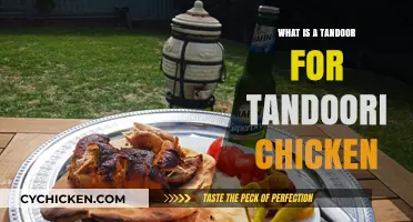 Discover the Magic: What is a Tandoor for Tandoori Chicken?