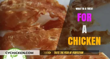 Delight Your Flock: Discover What Treats Chickens Truly Love