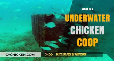 Exploring the Depths: The Unique Concept of Underwater Chicken Coops