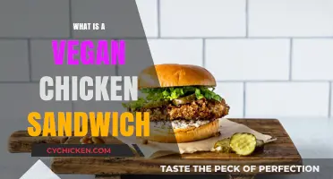 Exploring the Plant-Based Delight: What is a Vegan Chicken Sandwich?