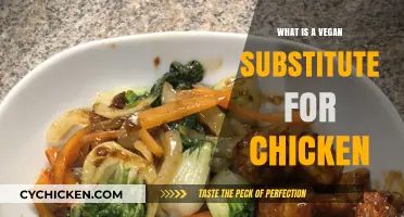 Discover the Best Vegan Substitute for Chicken in Your Recipes