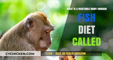 Veggie, Dairy, Poultry, and Pescatarian Diet