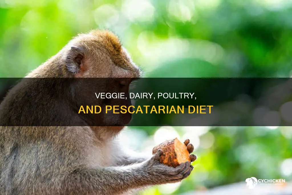 what is a vegetable dairy chicken fish diet called