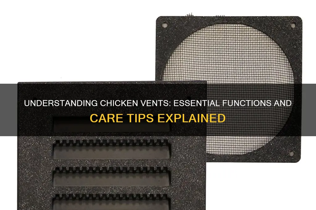 what is a vent in a chicken