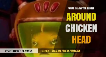 Understanding the Water Bubble Around a Chicken's Head: Causes and Care