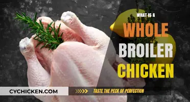 Exploring the Culinary Versatility of a Whole Broiler Chicken