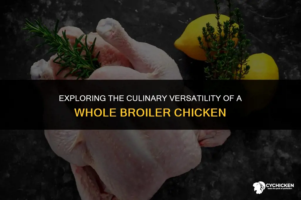 what is a whole broiler chicken