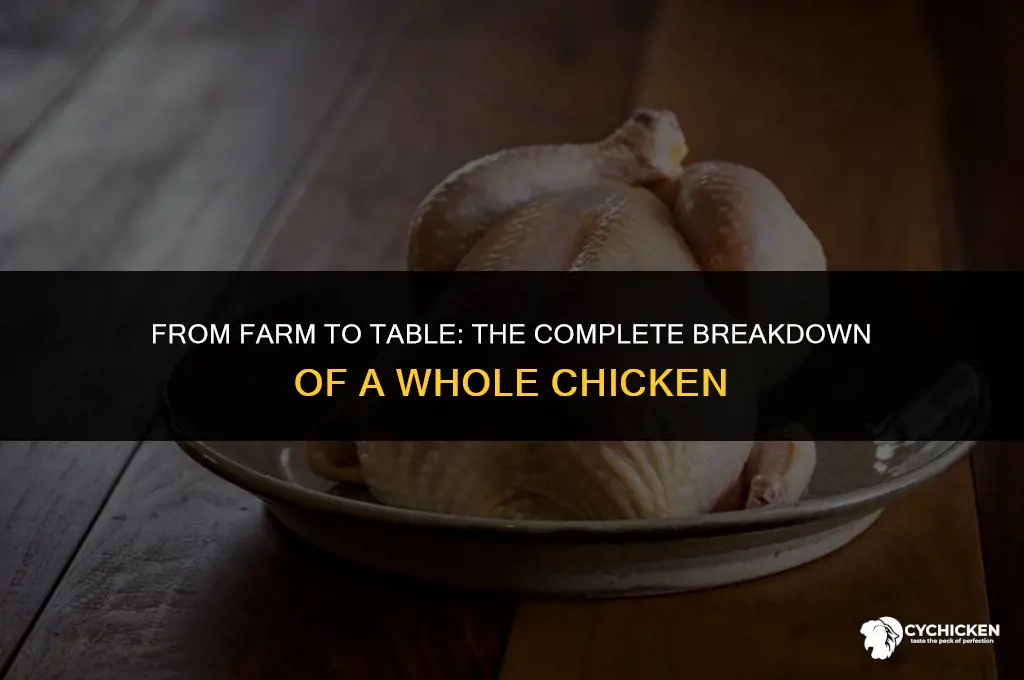 what is a whole chicken broken down