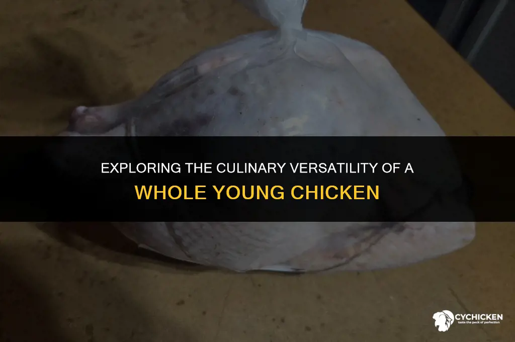 what is a whole young chicken