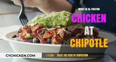 Discover Chipotle's Al Pastor Chicken: Ingredients, Flavor, and Menu Appeal