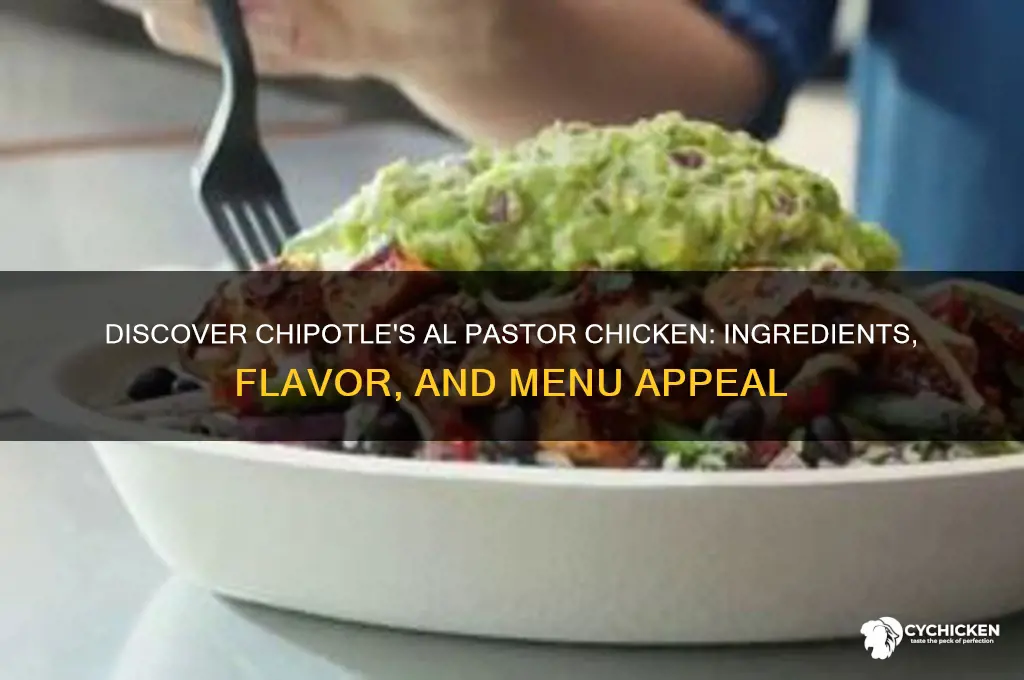 what is al pastor chicken at chipotle