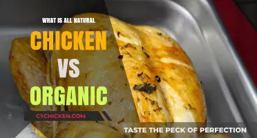 All Natural vs. Organic Chicken: Understanding the Key Differences