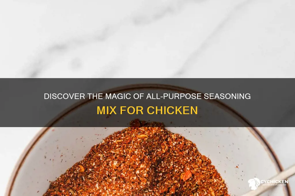 what is all purpose seasoning mix for chicken
