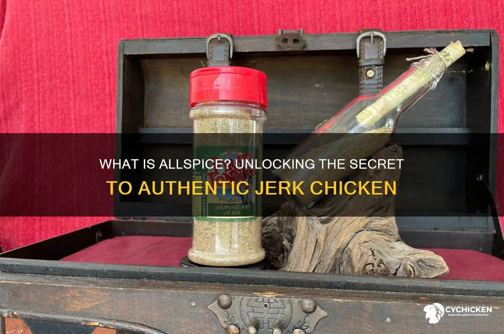 what is all spice for jerk chicken