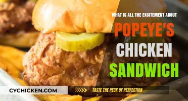Popeye's Chicken Sandwich Craze: Unraveling the Hype and Flavor Frenzy